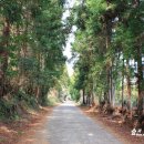 남조로수망교차로 2 이미지