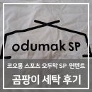 코오롱세탁 | 텐트곰팡이 제거 고민된다면? 코오롱 오두막 SP 면 텐트 세탁 후기