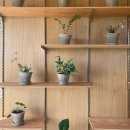 가정식식당 이미지