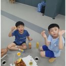 베스트 태권도 | 속초교동태권도 인성을 키우고 체력도 단련하는 베스트연세태권도 체험기