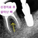 서울단오치과의원 이미지