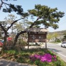 송화 펜션 이미지