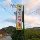 [리뷰] 강릉 주민이 추천하는 성산 메기 매운탕 맛집!! '버당말 메기촌' 후기♡