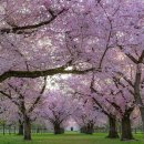 (공연) 뮤지컬 <세종 1446> 1 이미지