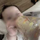 P0066 | 휴대용 보아르 전기포트 분유포트로 사용 가능할까? 직접 써본 사용 후기