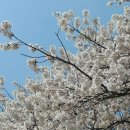 까치합동공인중개사사무소 이미지