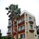 해라의성 이미지