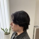Yes 헤어 | 압구정 로데오 유밍(Uming) 1:1 헤어 컨설팅 후기, 왜 '얼굴이 작아 보이는 디자인'에 집착하는가