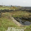 삼달2리 이미지