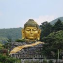 와우정사 이미지