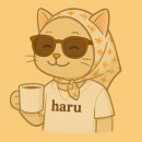 모형항공기 비행장 | ✈️ 서울 ADEX 2025 방문기