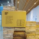 바다 FISH 이미지