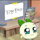 신흥카하우스 | 내 생일, 친구랑 해방촌 투어, 취준, 혼놀