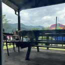 씨스타펜션 | 성주계곡 무흘구곡근처 여름휴가 물놀이가 가능한 "씨스타펜션" 후기