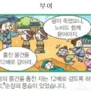 검정고시(고졸) 이미지