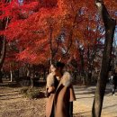 올리비아
