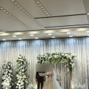 관악구 구민회관 1층 강당 | [베뉴] 결혼식장 하객 후기 - 3편 (삼성이앤에이 웨딩홀, 서울대 연구공원, 서울대 교수회관)