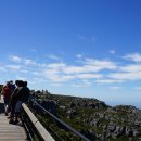 테이블79 이미지