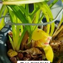 남순천의원 이미지