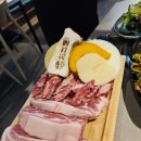 치리돈 이미지