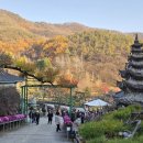 와우정사 이미지