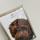 미모상사 이미지