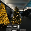 동문문화거리 | 제주 동문시장 선물 품격 있는 디저트로 결정