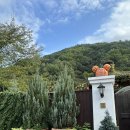 리베볼(liebevoll) | 성주 리베볼 | 할로윈 아메 2만원실화? 방문 내돈내산 솔직 후기 성주 아이와 가볼만한 곳