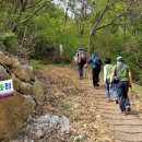 국사봉랜드 이미지