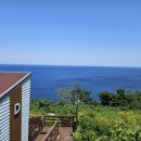 아로하 치킨 이미지