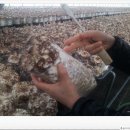 민찬농장 이미지