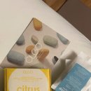 리빙키친 | 2026 서울디자인리빙페어 쇼핑템 후기, 그루 머그컵, 브랜들리 키친타이머, 올고 비건 샴푸바