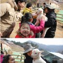 순수목장 이미지