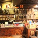 다모토리 이미지