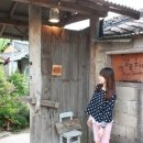 5월 감꽃 10월 홍시 이미지