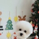 리쌀롱 이미지