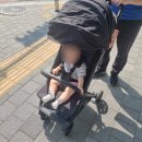 잉글레시나 퀴드3 유모차 내돈내산 후기