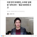 거짓말과 변명은 민주당의 전매특허. 이미지