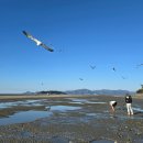 동호리해수욕장 화장실 이미지