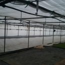 제일종묘농약사 이미지