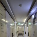 장안벚꽃길 이미지