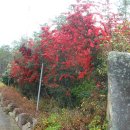 경남상사 이미지