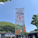 쇠바우골탄광문화장터 | 태백여행 2025 태백 탄광문화고기축제 방문후기
