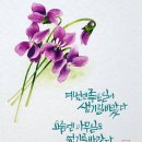 수채화 캘리그라피 초급 이미지