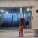 풀 스테이 햅번 이미지