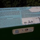 풍차와해넘이 이미지