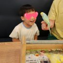 리프패럿광주 - 북구 하서로483번길 8 | 새 좋아하는 우리 아이 위한 최애 나들이 코스, 경기광주 리프패럿 후기