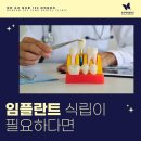 둔산세이정치과의원 이미지