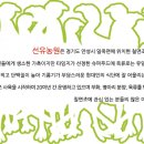 선유 칠면조 농장 이미지