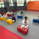용인대하가태권도 네이버블로그